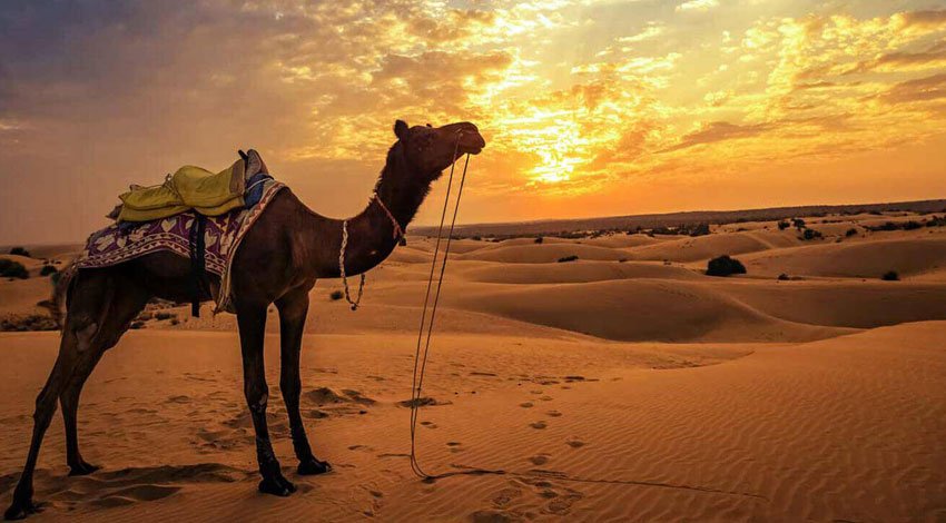 Luxury Rajasthan Desert Tour Package